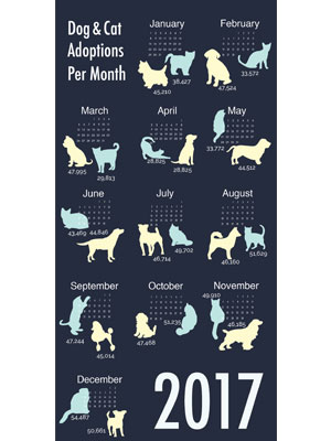 2017 Calendar