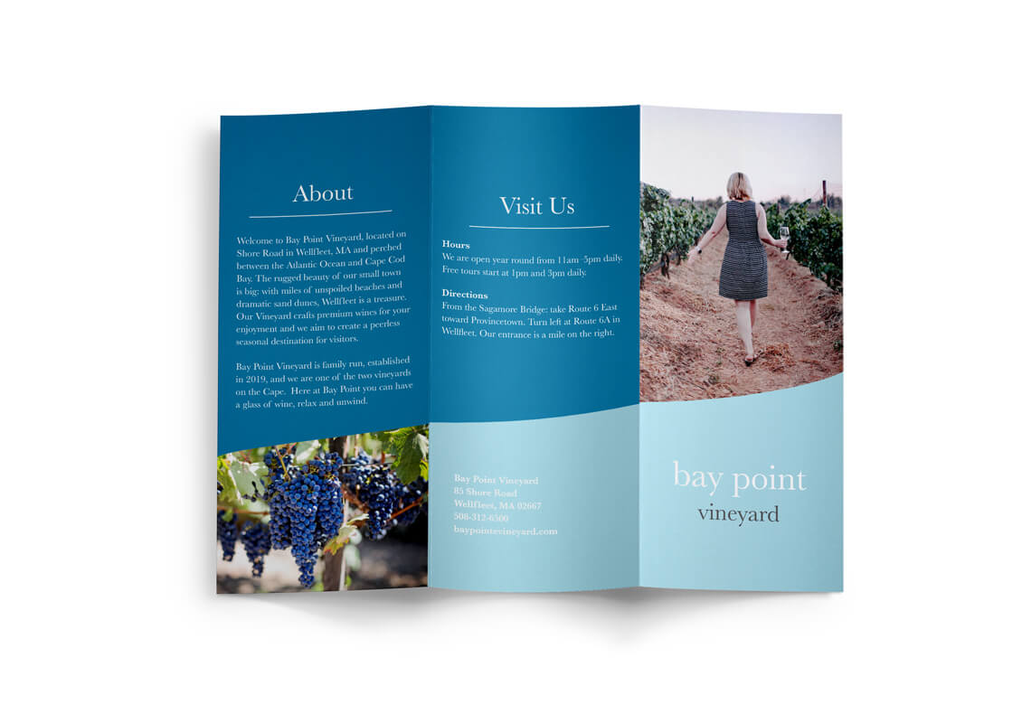 Bay Point Vineyards